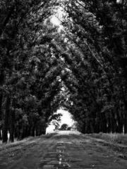 Girlfriends  lt;/pgt