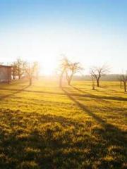 First Era, Dragon Lo