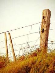 Retired War God Yang