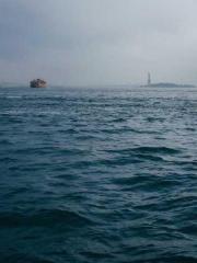 lt;Natural Disasters