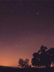 My pets are all amaz