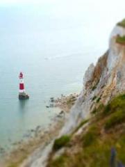 Reborn in the Apocal