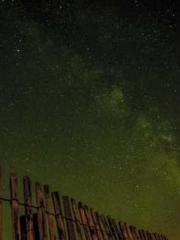 lt;Liang Yimo Cold N