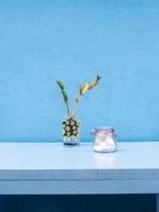 The Realm of the Dao