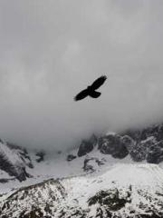 Wine, sex, money and