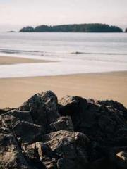 Super husband Lin Xi