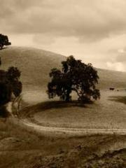 Cultivating My Empre