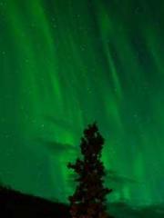 lt;divgt;MMORPG: Obt