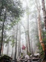 Shen Ning Ran Bao Ji