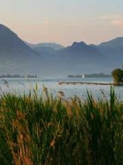 Girlfriends  lt;/pgt