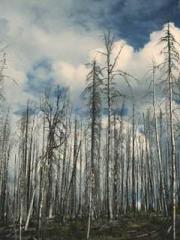 My stunning aunt lt;