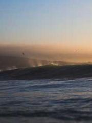 The Beloved Physicia